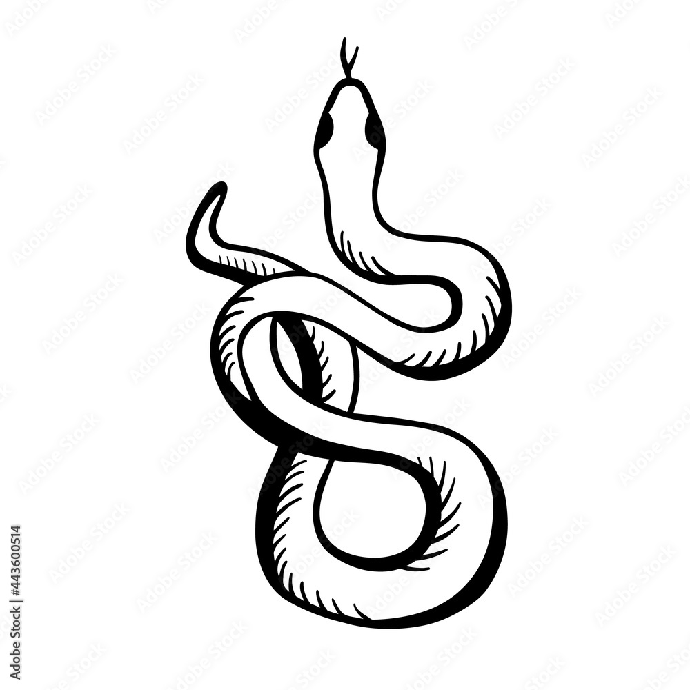 Snake is wrigging. Black white vector illustration in hand drawn style. The classic image of the snake is isolated on a white background. Snake is wrigging. Black white vector illustration in hand drawn style. The classic image of the snake is isolated on a white background.