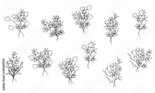 Set of cute field mini bouquets of vector flowers and branches in doodle style on a white background. Simple flowers and plants. Isolated objects.