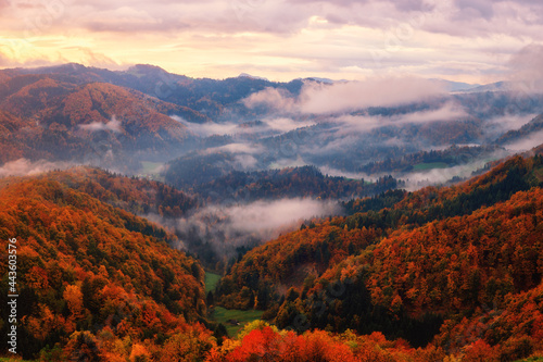 Scenic view of wooded Alps mountains at sunrise, amazing autumn landscape with mountain ridge, colorful trees, morning mist and cloudy sky, Jamnik, Slovenia. Outdoor travel background