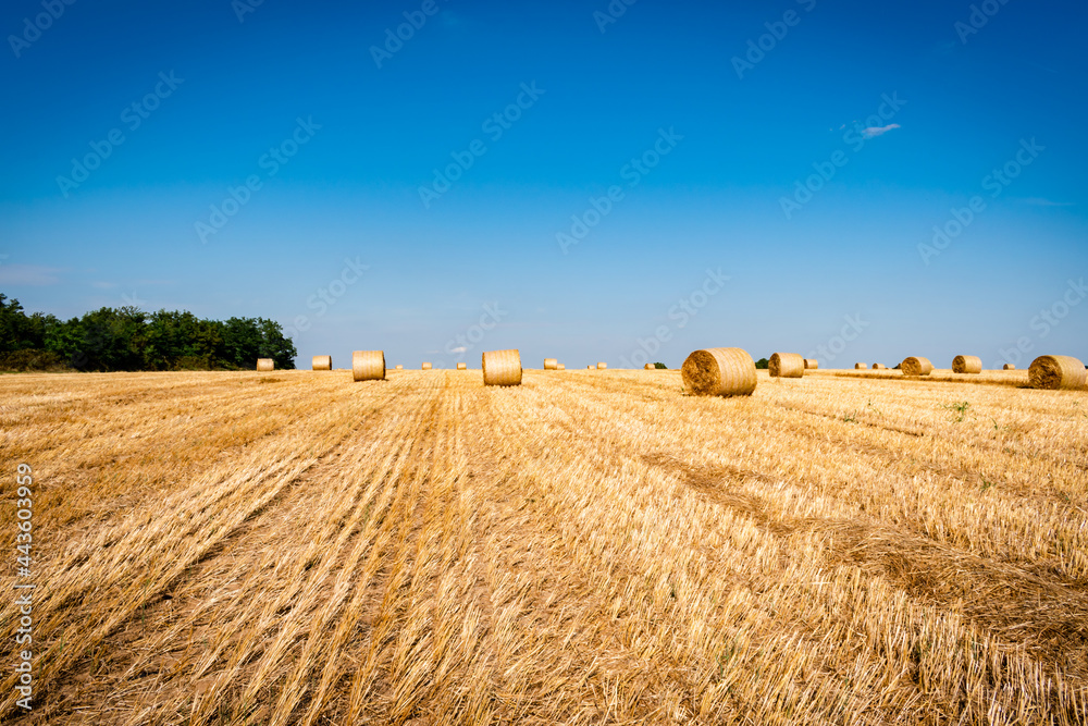 Hay bales on a field in August in the hungarian countryside