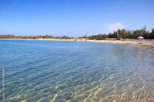 Apulia beach: Torre Guaceto Nature Reserve in Italy. View of the coast and the dunes with Mediterranean maquis: a nature sanctuary between the land and the sea. photo