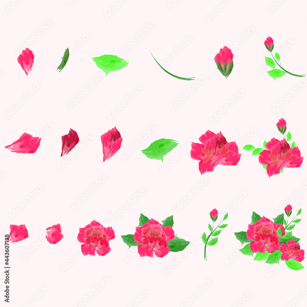 Set of Roses bouquet illustration
