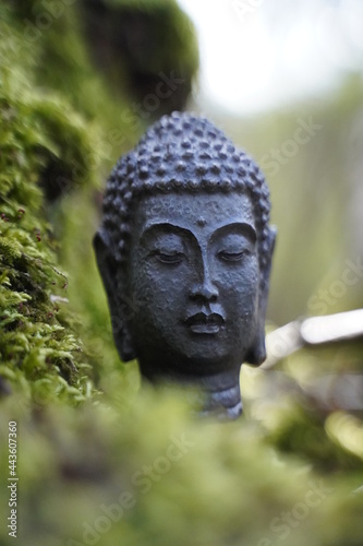 Buddha statue standing in the forest oozside with mossy background