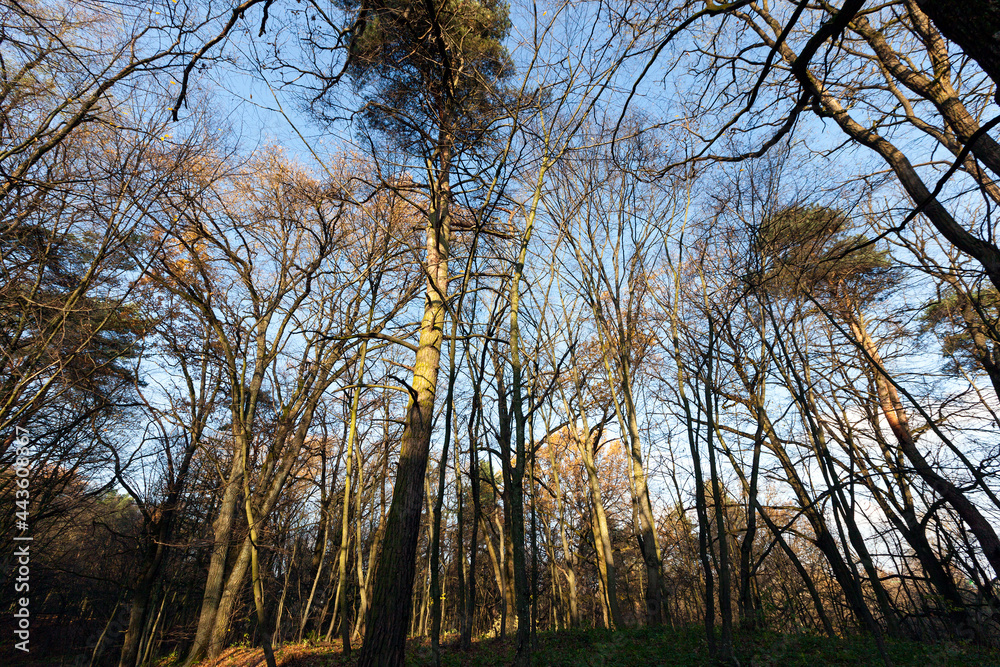 autumn landscape illuminated by sunlight