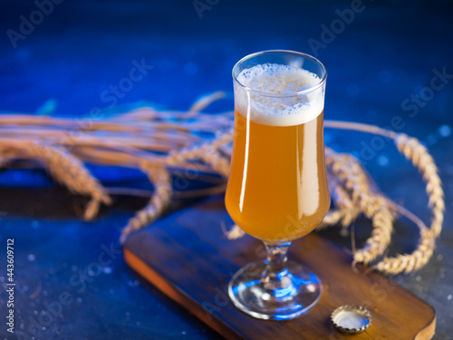 Craft beer, new england ipa in a glass, blue backlight photo