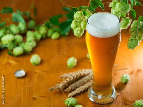 Платно Light hopped beer on a wooden table, fresh green wild hops, the concept of craft