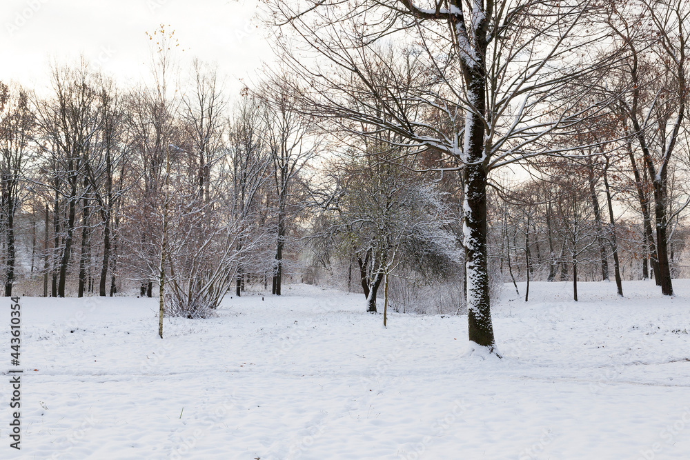 winter day after a snowfall