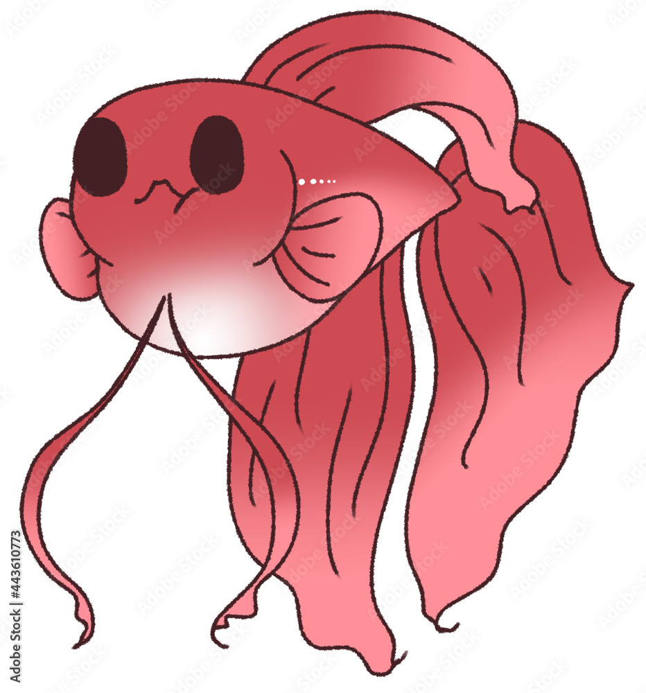 お腹がパンパンになったベタ 赤色 Stock Illustration Adobe Stock