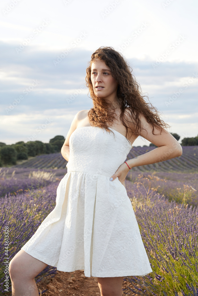 Portrait of a young woman in the lavender fields of Brihuega, in Spain. She wears a white dress and her hair is loose and curly. She is with her arms around her waist. Lifestyle. Beauty. fashion.
Portrait of a young woman in the lavender fields of Brihuega, in Spain. She wears a white dress and her hair is loose and curly. She is with her arms around her waist. Lifestyle. Beauty. fashion.