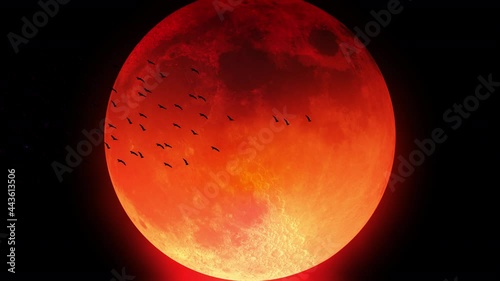 The silhouette of a flock of birds flying in front of a blood-red moon. photo