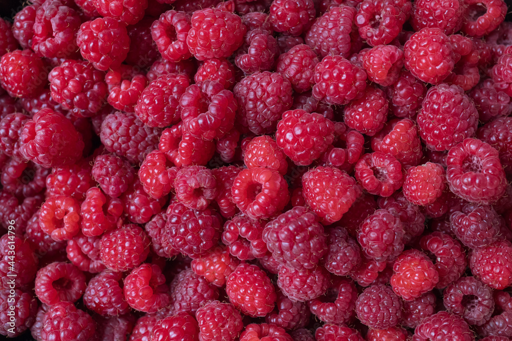 Fresh mouth-watering raspberries. Raspberry background Fresh mouth-watering raspberries. Raspberry background