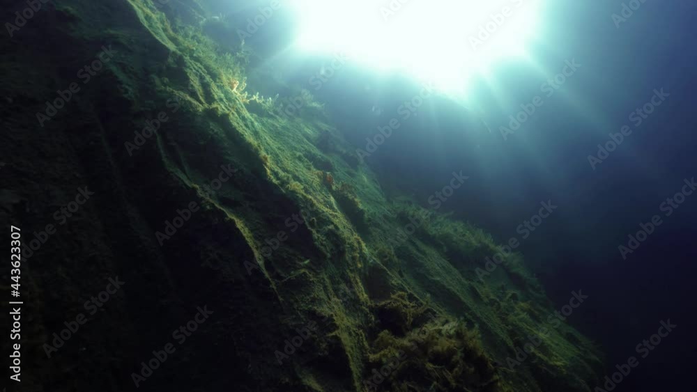 Sunrays at underwater cliff inside old quarry Sunrays at underwater cliff inside old quarry