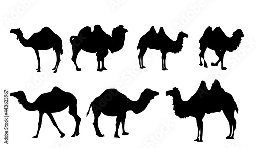 camels silhouettes set.