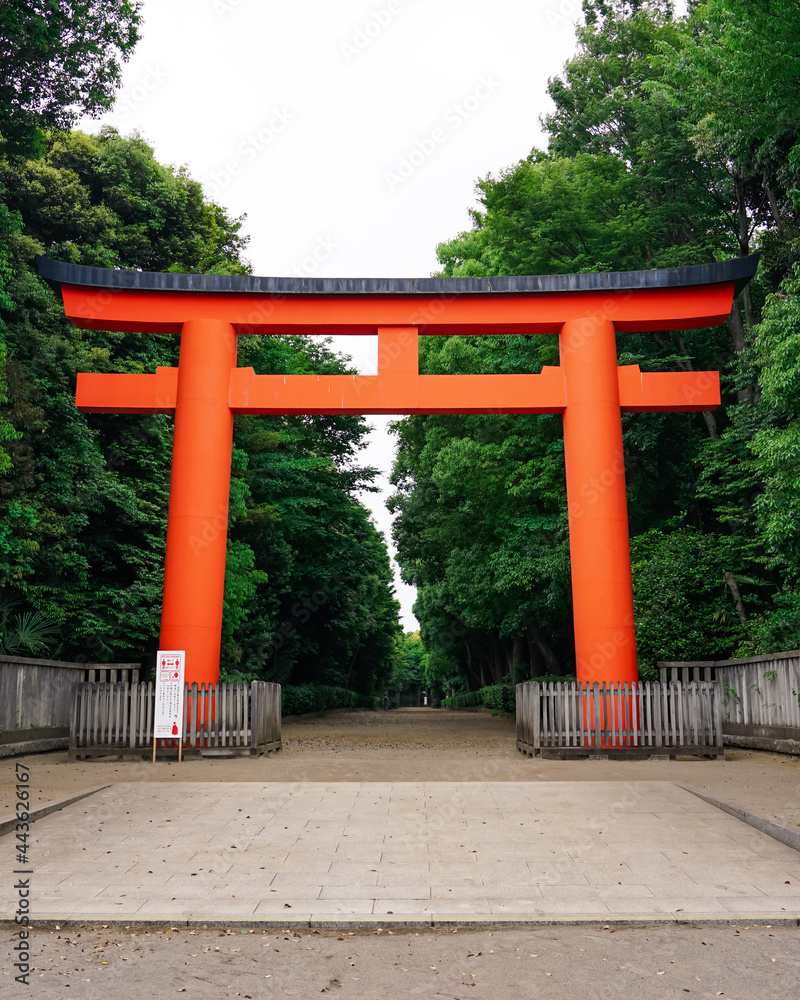 赤い大鳥居が鮮やかな井草八幡宮
