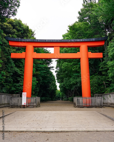 赤い大鳥居が鮮やかな井草八幡宮 