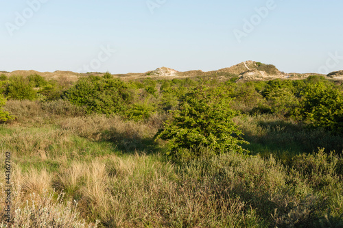 Landschap op Schiermonnikoog, Landscape at Schiermonnikoog photo