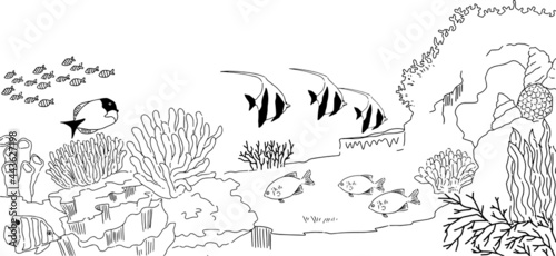 海の中の生き物