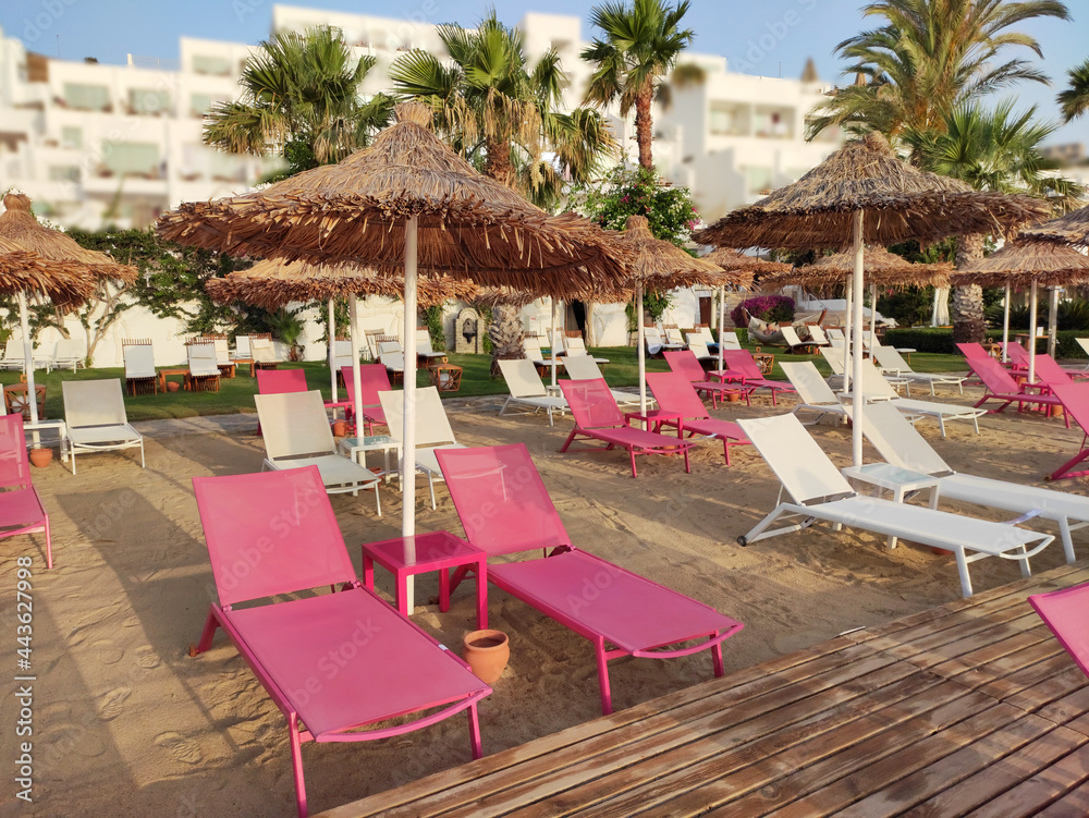 Obraz premium Lounge chairs in hotel garden