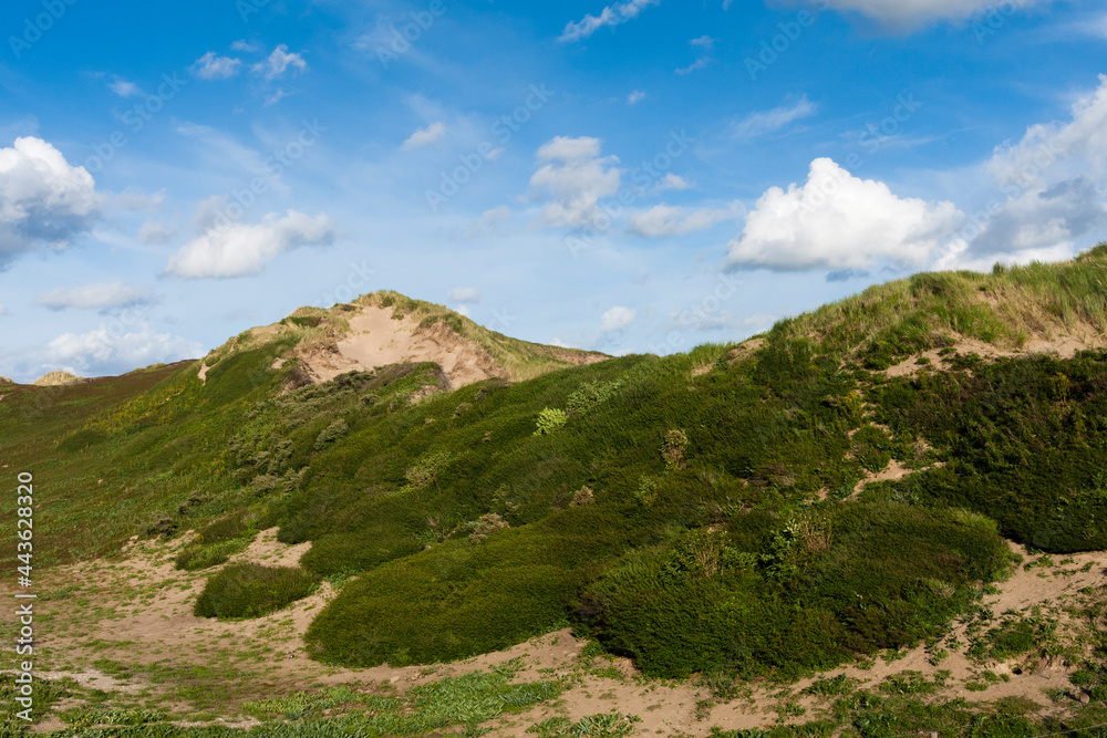 Landscape at the Noordduinen
