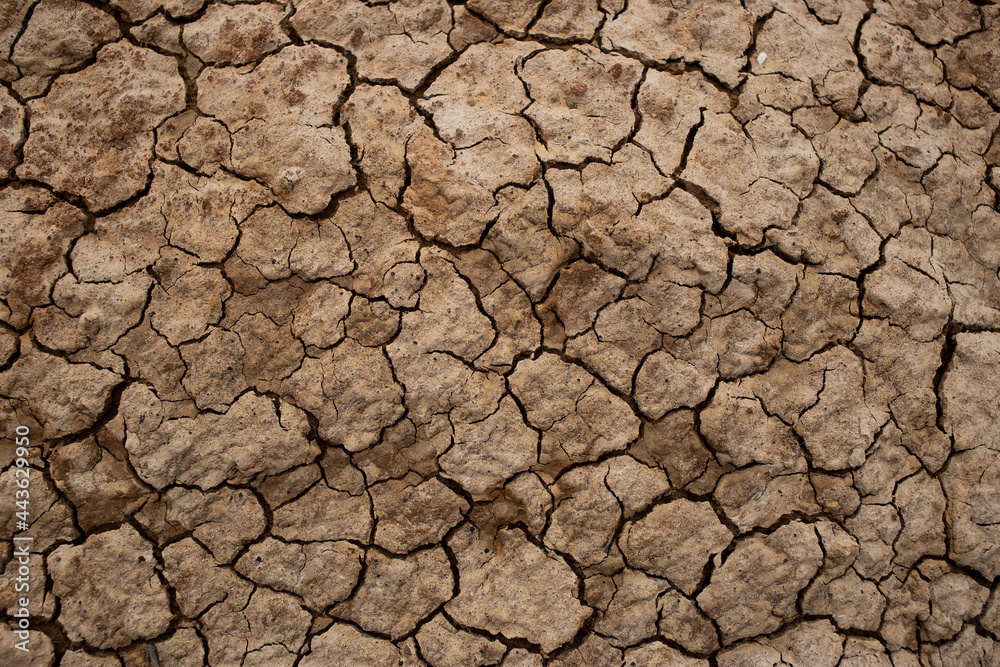 Texture of dry cracked soil, dry cracked earth. The global shortage of water on the planet. Global warming and greenhouse effect concept. Texture of dry cracked soil, dry cracked earth. The global shortage of water on the planet. Global warming and greenhouse effect concept.