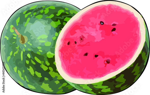 Watermelon with a white background