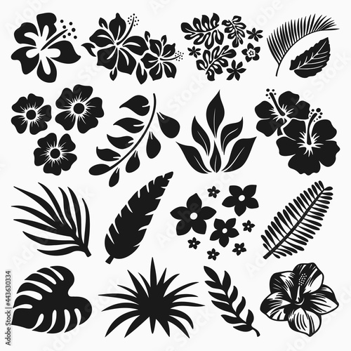 Hibiscus And Tropical Leaves Vector Collection photo