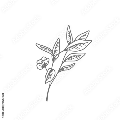 flower line drawing. Hand-drawn minimalist illustration vector. Logo © Di Ko