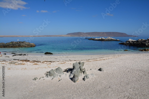 Wallpaper Mural Plage eau turquoise Bahia Inglesa Caldera Chili Amérique Latine Torontodigital.ca