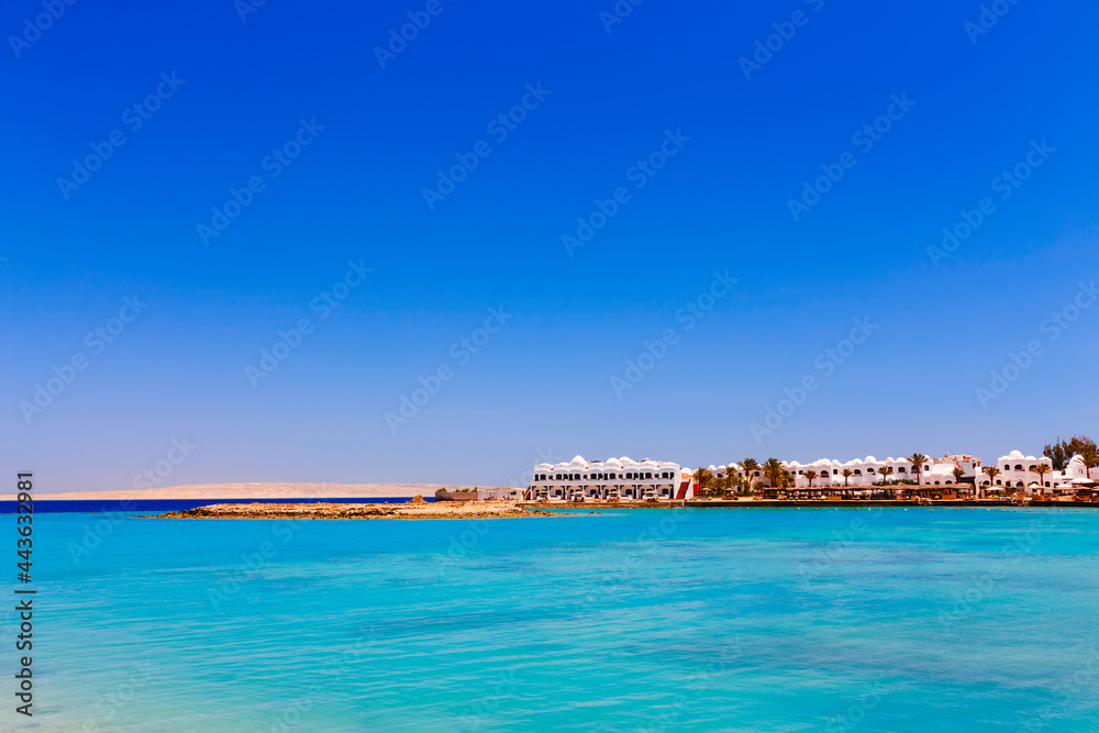 Sunny resort beach with palm tree