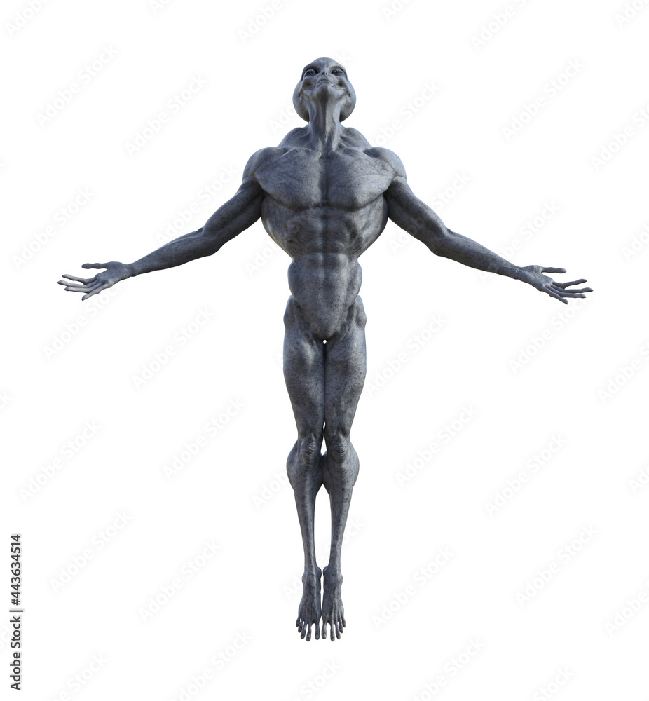 Illustration of a grey alien with arms back and head up on tiptoes looking upward isolated on a white background. Illustration of a grey alien with arms back and head up on tiptoes looking upward isolated on a white background.