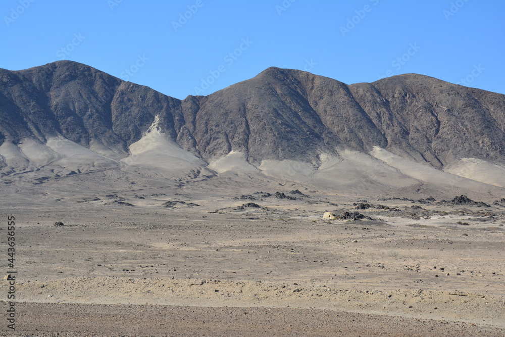 Parc National Pan de Azucar Atacama Chili Amérique Latine