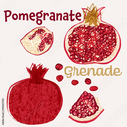 Pomegranate fruit vector illustration. Colorful textured modern design.