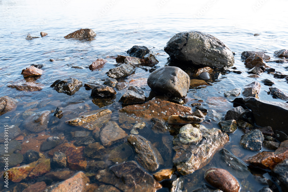 stones in sea on beach nature