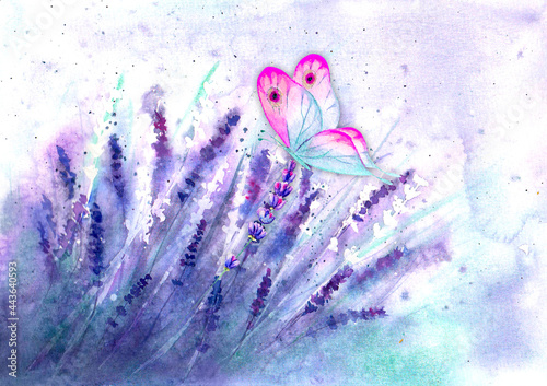 Meadow lavender horizontal ...