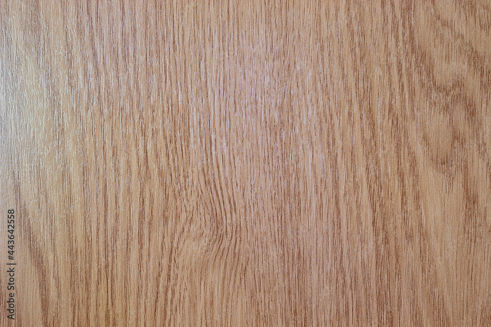 Naklejka premium Real texture of processed wood in close-up for use in design