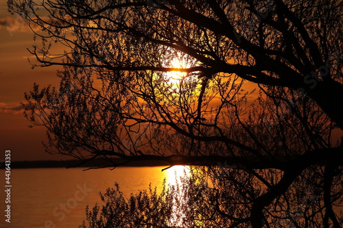 Sunset With Golden Sun Disc In Red Sky And Sun Trail In Lake Water. Night Landscape View Through Tree Branches On The Shore. Background Image