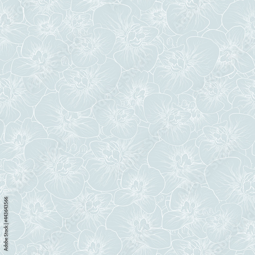 Floral  seamless botanica pattern  orchid flower isolated   modern monochrome  wallpaper. hand-drawn illustration for textiles in a minimalist style. art  drawing for print wrapping paper. Vector.
