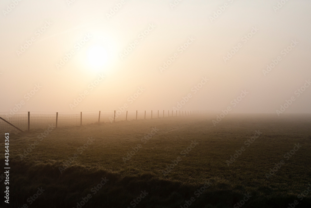 Landscape at Texel