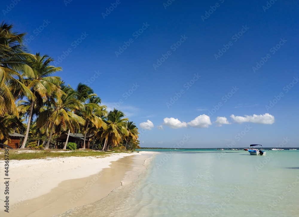 Palm trees on the sandy coast of the Caribbean Sea. Dominican Republic beach in Punta Cana. Tropical landscape. The concept of exotic vacation, travel and tourism.