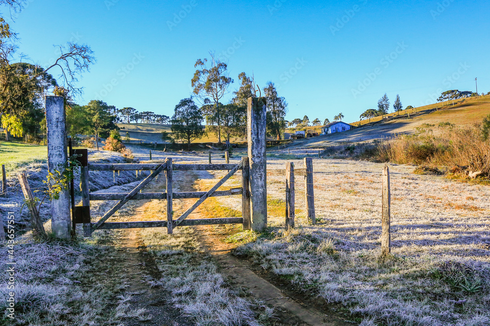 Winter landscape