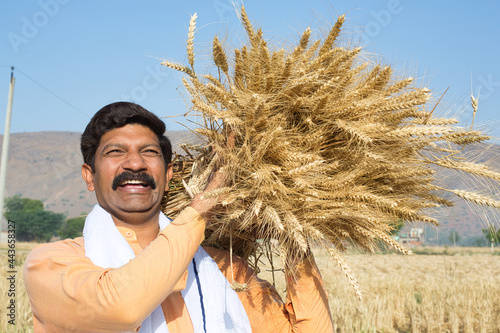 Canvas Print Farmer carrying bunch of wheat crop on agriculture field