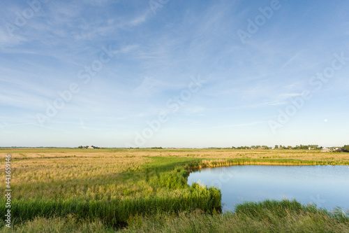 Landscape at Wormer- en Wisperveld