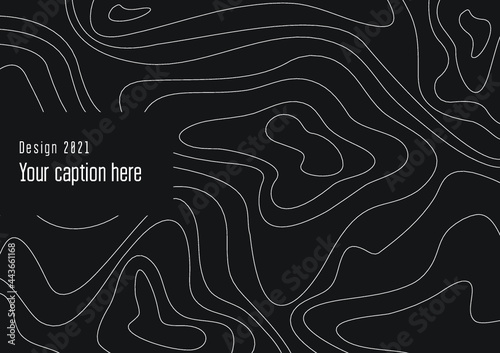Abstract background | Black and white background | Curve lines 