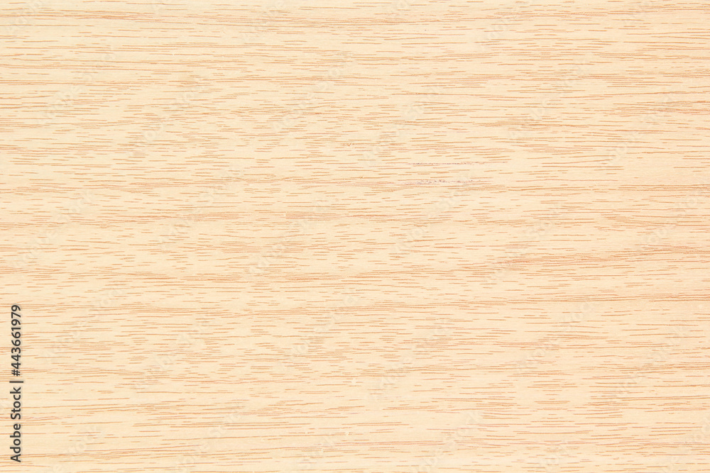 wood texture background. wood texture background.