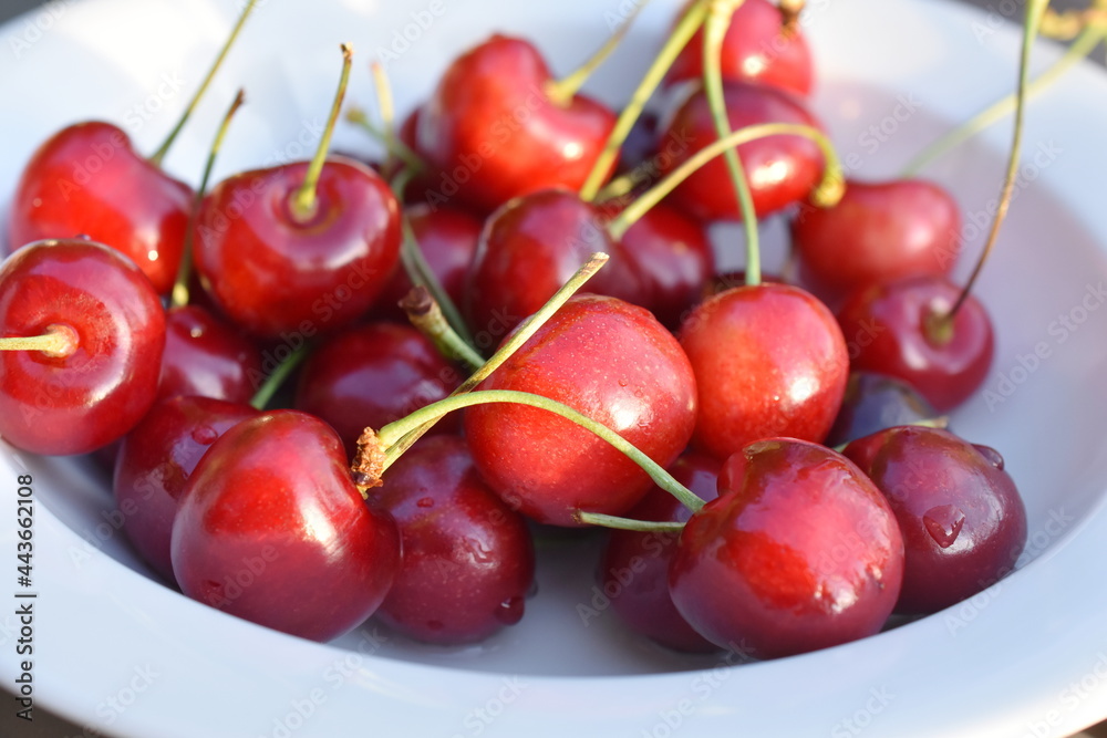 Red cherry fruit in a white bowl Red cherry fruit in a white bowl