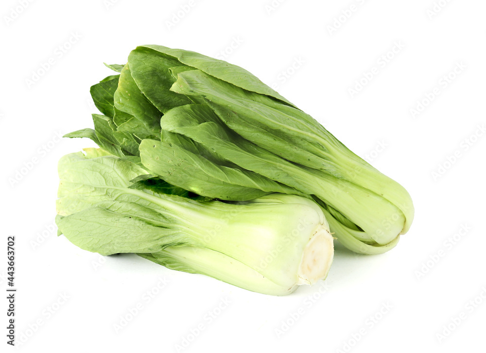 Bok choy vegetable (chinese cabbage) isolated on white background Bok choy vegetable (chinese cabbage) isolated on white background