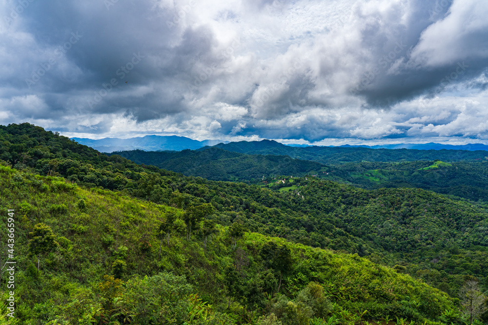 A panoramic view of the viewpoint of the fertile forest on many hills in Chiang Mai, Thailand.
