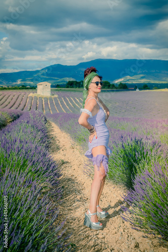 Wallpaper Mural Femme dans un champ de Lavande sur le plateau de Valensole Torontodigital.ca