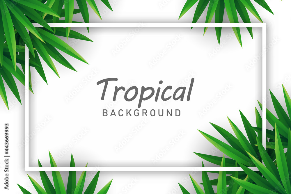 Fototapeta premium Palm leaves background illustration vector