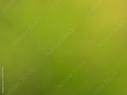 blurred abstract background with fine structure